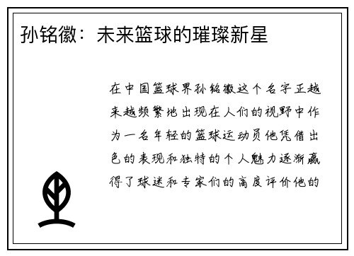 孙铭徽：未来篮球的璀璨新星